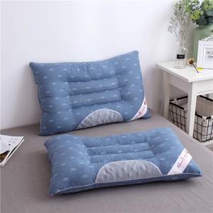 Оренбургская область - Гай -  2019 - Подушка для сна российская