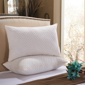 Оренбургская область - Гай -  2019 - Российские подушки из микроволокна