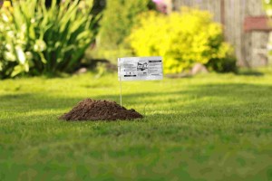 Средство против кротов антикрот приманка Gex Mole Killer