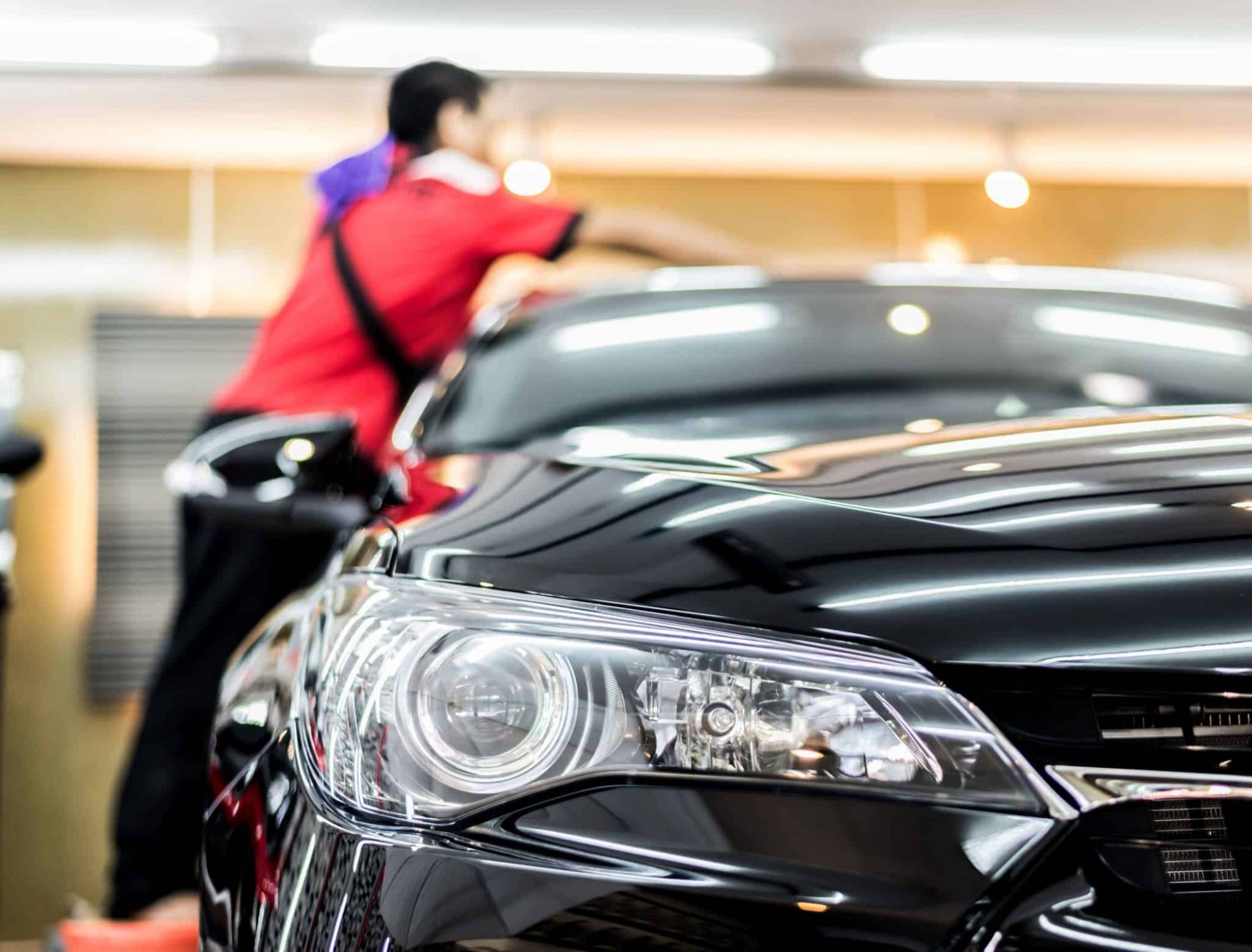 Рыжая кошка