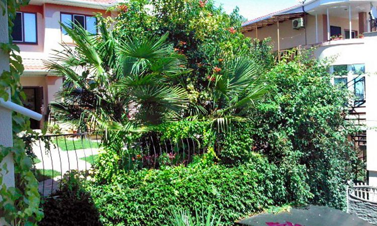 отдых на море дикарем