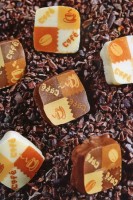 Севастополь 2019 - море - карта побережья - Россия отдых - Арт - Отель «Украина»