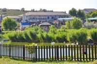 Темрюк 2024 Тиздар грязевой вулкан глубина - Лучшие пансионаты