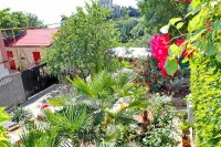  - Алушта - Гостевые дома 2019 - самый дешевый отдых на море