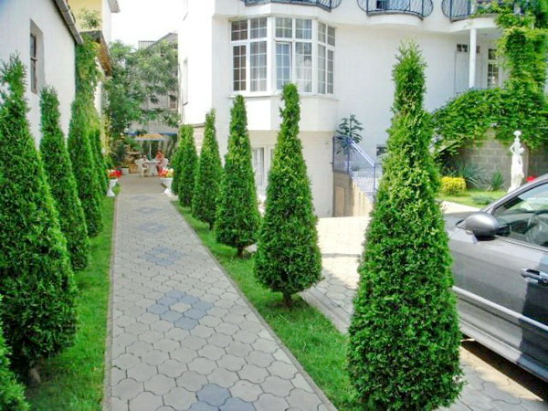 Отель «Дуэт»