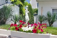 Анапа 2024  - Отель «Дуэт»