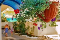 Сочи 2024  - Отель «Экодом Марина Адлер»