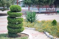 Анапа  - Лучшие пансионаты