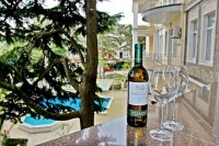   - Пансионат «Империал 2011»