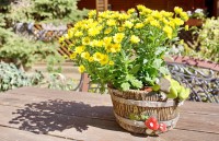 Анапа  - Лучшие отели 2017