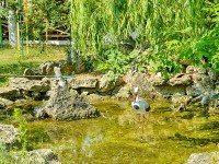 Севастополь 2024 частный отдых севастополь - Лучшие отели 2017