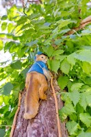 Анапа 2024  - Лучшие отели 2017