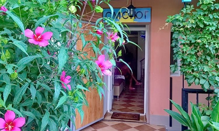 телефоны гостиниц и гостевых домов