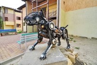 Краснодарский край - Анапа -  2019 - 