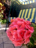  - Феодосия - Гостиницы 2019 - лучшие гостиницы с бассейном - все включено