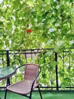 Феодосия 2024 гостиницы около моря - недорого - Лучшие отели 2017