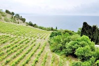 Алушта 2019 -  - Вилла «Александрия»