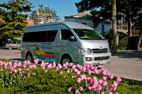 Геленджик 2019 -  - Гостевой дом «Малахит»