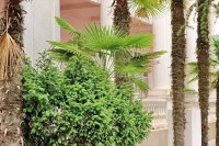 Алушта 2019 -  - Вилла «Александрия»