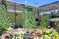  - Судак - Пансионаты 2019 - 