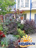 Анапа  - Лучшие частные дома