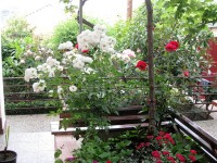 отдых с детьми - гостевые дома с детской площадкой - Алушта 2024 Алушта 2024 - Отель «Южный домик»