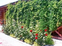 Евпатория 2024  - Лучшие отели 2017