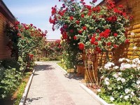 Евпатория 2024  - Лучшие отели 2017