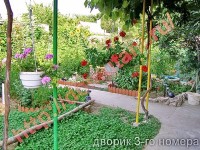  - Севастополь - Гостевые дома 2019 - отдых в отеле севастополя