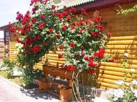 Евпатория 2024  - Лучшие отели 2017