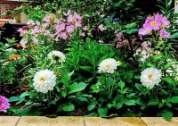 Анапа 2019 -  - Пансионат «Агата»