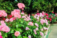 Анапа 2019 -  - Пансионат «Агата»