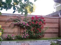 Евпатория 2024  - Лучшие отели 2017