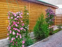 Евпатория 2024  - Лучшие отели 2017