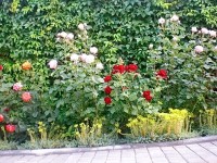 Евпатория 2024  - Лучшие отели 2017