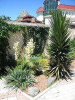 Республика Крым - Судак - Гостиницы 2019 - 