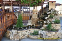 Анапа 2020 - частное жилье недорого - Гостевой дом «Патра»