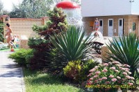 Анапа 2020 - недорогое жилье в частном секторе - Гостевой дом «Патра»