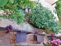  - Геленджик - Гостевые дома 2019 - 