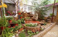  - Анапа - Гостевые дома 2019 - 