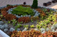 Геленджик 2019 -  - Санаторий «Русь»