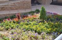 Геленджик 2019 -  - Санаторий «Русь»