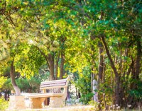 Геленджик 2019 -  - Санаторий «Русь»