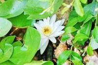  - Анапа - Пансионаты 2019 - 