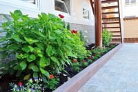  - Адлер - Гостевые дома 2019 - гостиницы на побережье - цены