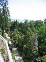 Сочи - Отели 2019 - Краснодарский край - Сочи - Отели 2019 -