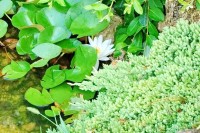  - Анапа - Пансионаты 2019 - 