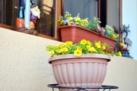  - Адлер - Гостевые дома 2019 - гостиница на сутки - стоимость жилья