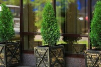 Краснодар 2019 - отдых с ребенком на берегу моря - Отель «Фидель»