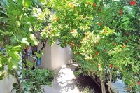 Ялта 2024  - Лучшие отели 2018